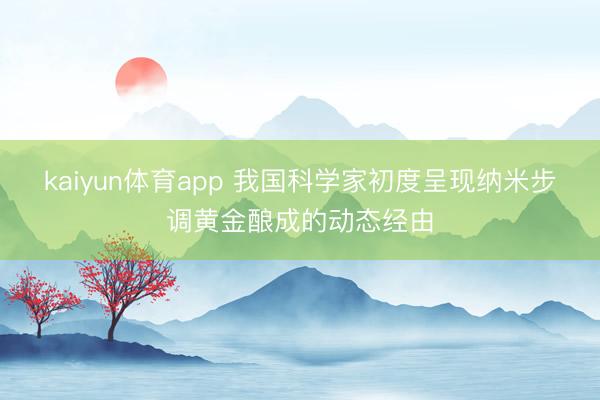 kaiyun体育app 我国科学家初度呈现纳米步调黄金酿成的动态经由