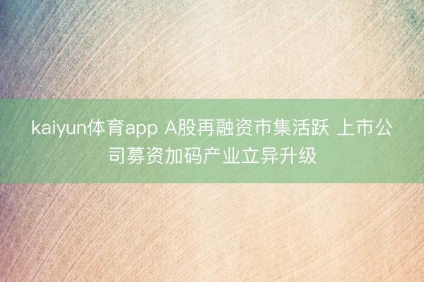 kaiyun体育app A股再融资市集活跃 上市公司募资加码产业立异升级