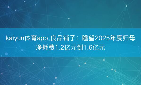 kaiyun体育app 良品铺子：瞻望2025年度归母净耗费1.2亿元到1.6亿元