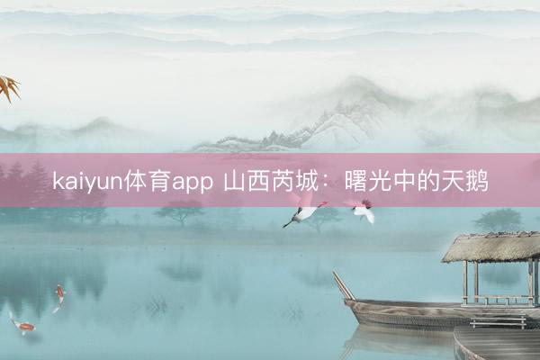 kaiyun体育app 山西芮城：曙光中的天鹅