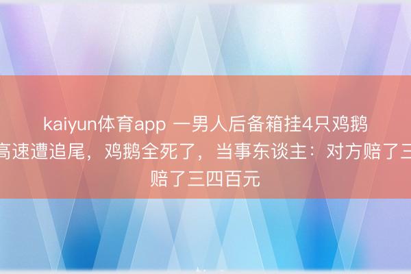 kaiyun体育app 一男人后备箱挂4只鸡鹅返程，高速遭追尾，鸡鹅全死了，当事东谈主：对方赔了三四百元