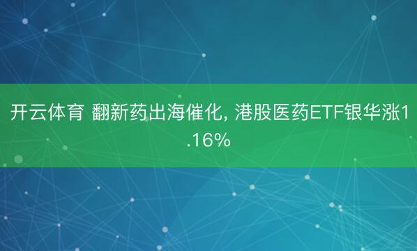 开云体育 翻新药出海催化， 港股医药ETF银华涨1.16%