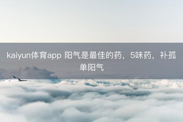 kaiyun体育app 阳气是最佳的药，5味药，补孤单阳气