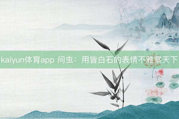 kaiyun体育app 问虫：用皆白石的表情不雅察天下