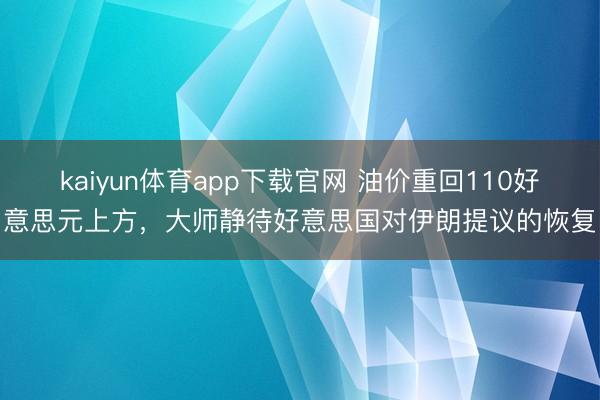 kaiyun体育app下载官网 油价重回110好意思元上方，大师静待好意思国对伊朗提议的恢复
